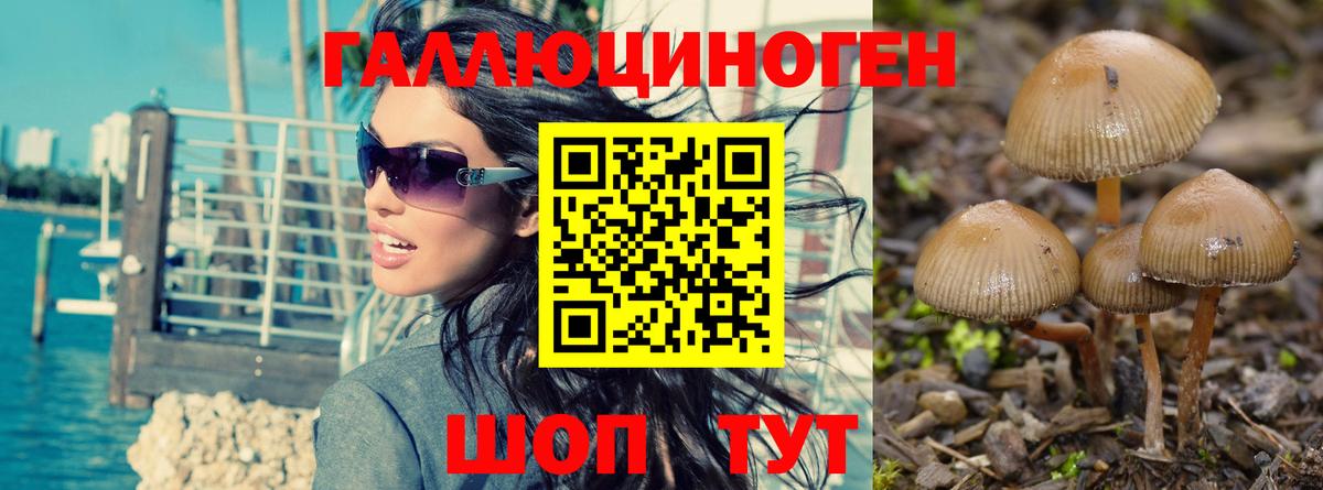 Псилоцибиновые грибы мицелий Боровичи